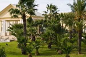 Royal Thalassa Monastir 5